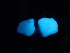  ( - HAY-F-005992)  @11 [ ] by-nc (2023) Dean Lyons Fungal Diversity Survey