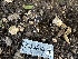  ( - HAY-F-001362)  @11 [ ] by-nc (2023) Aaron Tupac Fungal Diversity Survey