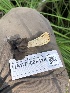  ( - HAY-F-006118)  @11 [ ] by-nc (2023) Dean Lyons Fungal Diversity Survey