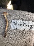  ( - HAY-F-006064)  @11 [ ] by-nc (2023) Dean Lyons Fungal Diversity Survey