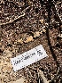  ( - HAY-F-006709)  @11 [ ] by-nc (2023) Dean Lyons Fungal Diversity Survey
