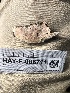  ( - HAY-F-006711)  @11 [ ] by-nc (2023) Dean Lyons Fungal Diversity Survey