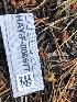  ( - HAY-F-006677)  @11 [ ] by-nc (2023) Dean Lyons Fungal Diversity Survey