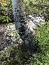  ( - HAY-F-006675)  @11 [ ] by-nc (2023) Dean Lyons Fungal Diversity Survey