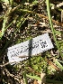  ( - HAY-F-006660)  @11 [ ] by-nc (2023) Dean Lyons Fungal Diversity Survey
