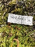  ( - HAY-F-006613)  @11 [ ] by-nc (2023) Dean Lyons Fungal Diversity Survey