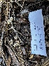  ( - HAY-F-005465)  @11 [ ] by-nc (2023) Aaron Tupac Fungal Diversity Survey