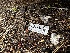  ( - HAY-F-001353)  @11 [ ] by-nc (2023) Aaron Tupac Fungal Diversity Survey