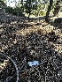  ( - HAY-F-006593)  @11 [ ] by-nc (2023) Aaron Tupac Fungal Diversity Survey