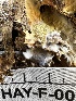  ( - HAY-F-006593)  @11 [ ] by-nc (2023) Aaron Tupac Fungal Diversity Survey