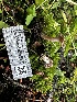  ( - HAY-F-006579)  @11 [ ] by-nc (2023) Aaron Tupac Fungal Diversity Survey