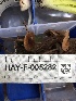  ( - HAY-F-005282)  @11 [ ] by-nc (2023) Dean Lyons Fungal Diversity Survey
