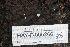  ( - HAY-F-005266)  @11 [ ] by-nc (2023) Warren Cardimona Fungal Diversity Survey