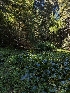  ( - HAY-F-005258)  @11 [ ] by-nc (2023) Warren Cardimona Fungal Diversity Survey