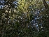  ( - HAY-F-005271)  @11 [ ] by-nc (2023) Warren Cardimona Fungal Diversity Survey