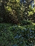  ( - HAY-F-005266)  @11 [ ] by-nc (2023) Warren Cardimona Fungal Diversity Survey