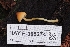  ( - HAY-F-005274)  @11 [ ] by-nc (2023) Warren Cardimona Fungal Diversity Survey
