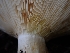  ( - HAY-F-003380)  @11 [ ] by-nc (2023) Sadie Hickey Fungal Diversity Survey
