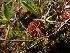  ( - HAY-F-003541)  @11 [ ] by-nc (2023) Sadie Hickey Fungal Diversity Survey