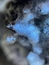  ( - HAY-F-004246)  @11 [ ] by-nc (2023) Jaren Hockert Fungal Diversity Survey