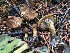  ( - HAY-F-004809)  @11 [ ] by-nc (2023) Dean Lyons Fungal Diversity Survey
