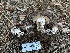  ( - LA-F-000165)  @11 [ ] c (2023) Rudy Diaz Fungal Diversity Survey