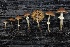  (Agaricales - HAY-F-004743)  @11 [ ] by-nc (2023) Taye Bright Fungal Diversity Survey
