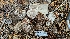  ( - HAY-F-002242)  @11 [ ] by-nc (2023) Thea Chesney Fungal Diversity Survey