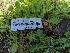  ( - HAY-F-002062)  @11 [ ] by-nc (2023) Stu Pickell Fungal Diversity Survey