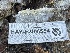  ( - HAY-F-006554)  @11 [ ] by-nc (2023) Damon Tighe Fungal Diversity Survey