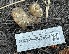  ( - HAY-F-007602)  @11 [ ] by-nc (2023) Damon Tighe Fungal Diversity Survey