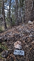 ( - HAY-F-001468)  @11 [ ] c (2023) Michelle C. Torres-Grant Fungal Diversity Survey