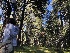  ( - HAY-F-007035)  @11 [ ] by-nc (2023) Dean Lyons Fungal Diversity Survey
