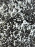  ( - HAY-F-004252)  @11 [ ] by-nc (2023) Jaren Hockert Fungal Diversity Survey