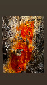  ( - HAY-F-001281)  @11 [ ] by-nc (2023) Aaron Tupac Fungal Diversity Survey