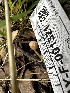  ( - HAY-F-001321)  @11 [ ] by-nc (2023) Aaron Tupac Fungal Diversity Survey