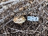  ( - HAY-F-005918)  @11 [ ] by-nc (2023) Stu Pickell Fungal Diversity Survey