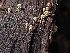  ( - HAY-F-003402)  @11 [ ] by-nc (2023) Sadie Hickey Fungal Diversity Survey