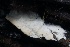  ( - HAY-F-004763)  @11 [ ] by-nc (2023) Taye Bright Fungal Diversity Survey