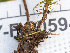  ( - HAY-F-005941)  @11 [ ] by-nc (2023) Stu Pickell Fungal Diversity Survey