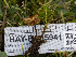  ( - HAY-F-005941)  @11 [ ] by-nc (2023) Stu Pickell Fungal Diversity Survey