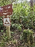  ( - HAY-F-006337)  @11 [ ] by (2023) Mandy Hackney Fungal Diversity Survey