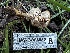  ( - HAY-F-006582)  @11 [ ] by-nc (2023) Aaron Tupac Fungal Diversity Survey
