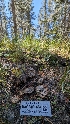  ( - HAY-F-001484)  @11 [ ] c (2023) Michelle C. Torres-Grant Fungal Diversity Survey