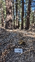  ( - HAY-F-001467)  @11 [ ] c (2023) Michelle C. Torres-Grant Fungal Diversity Survey
