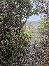  ( - HAY-F-006335)  @11 [ ] by (2023) Mandy Hackney Fungal Diversity Survey
