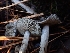  ( - HAY-F-003439)  @11 [ ] by-nc (2023) Sadie Hickey Fungal Diversity Survey