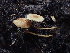  ( - HAY-F-007063)  @11 [ ] by-nc (2023) Dean Lyons Fungal Diversity Survey