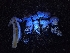  ( - HAY-F-006333)  @11 [ ] by (2023) Mandy Hackney Fungal Diversity Survey