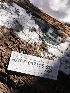  ( - HAY-F-007115)  @11 [ ] by-nc (2023) Dean Lyons Fungal Diversity Survey